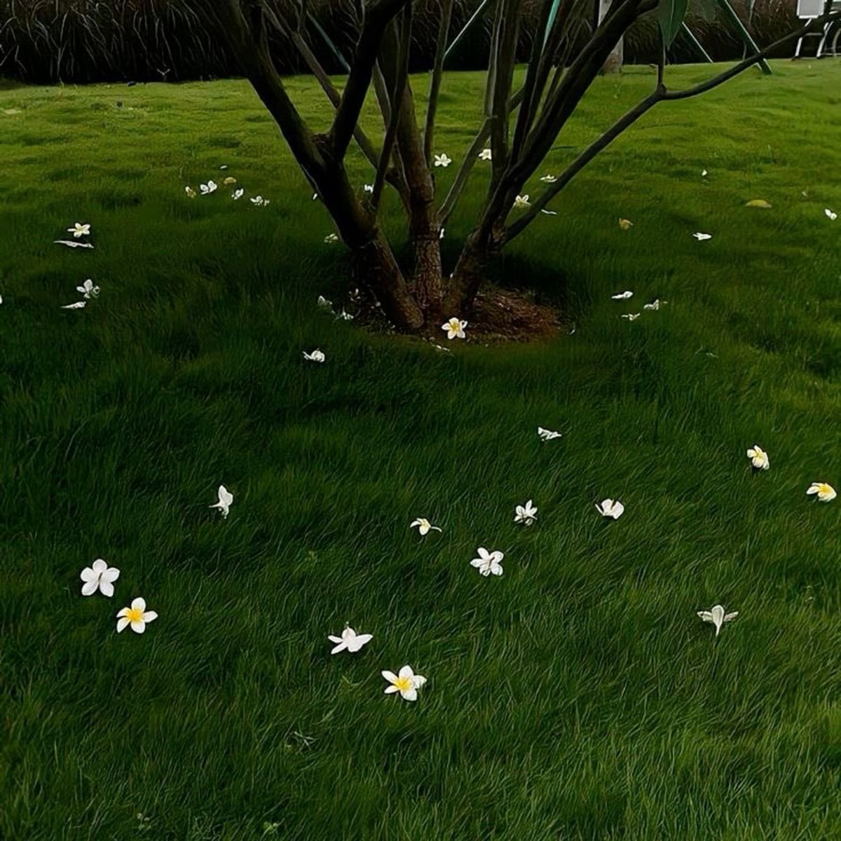 seraphicxc's tweet image. 