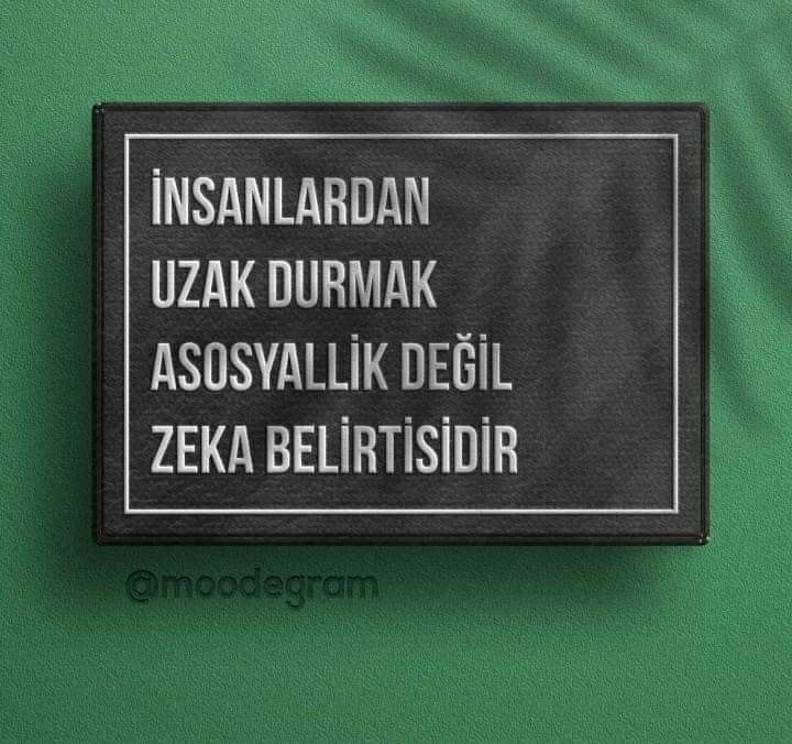 ilssonteuxsair's tweet photo. https://t.co/mVDbJox5NG