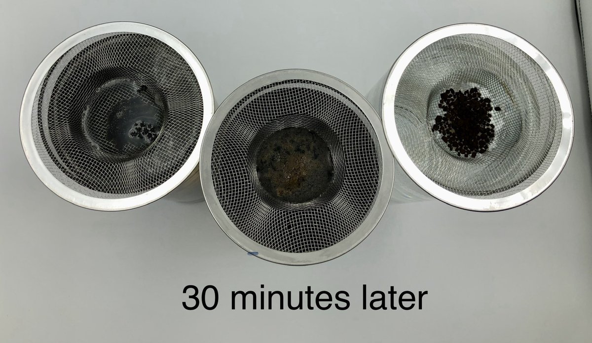 Adam Voss tweet media