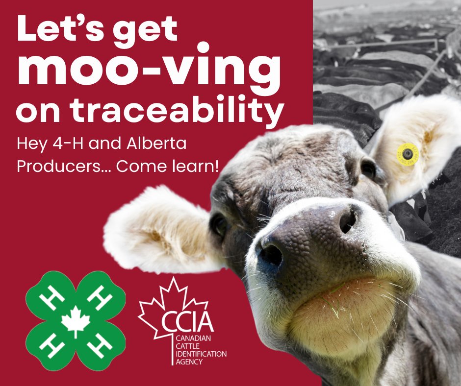 CCIA (Canadian Cattle Identification Agency) tweet media