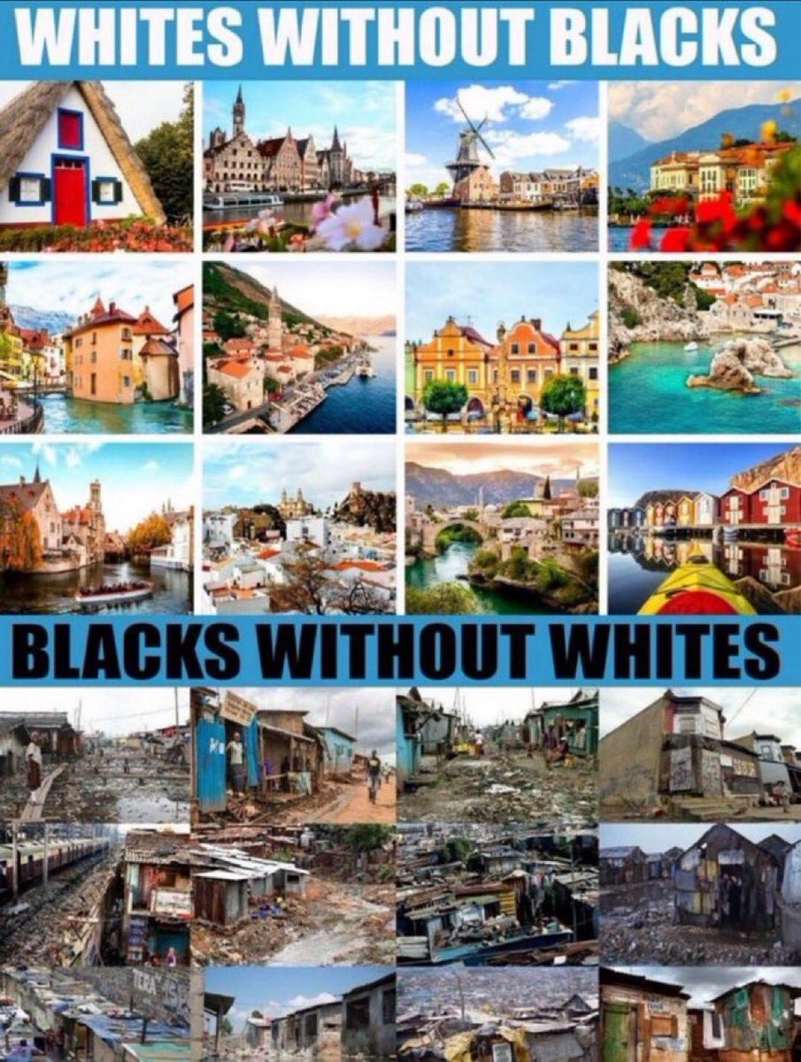 WarOfFreedom's tweet image. 