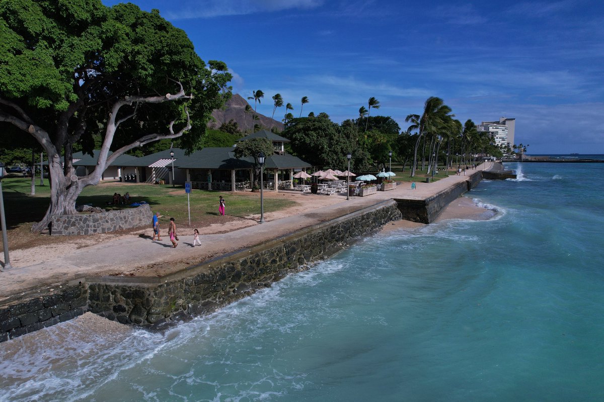 DDC - City and County of Honolulu tweet media