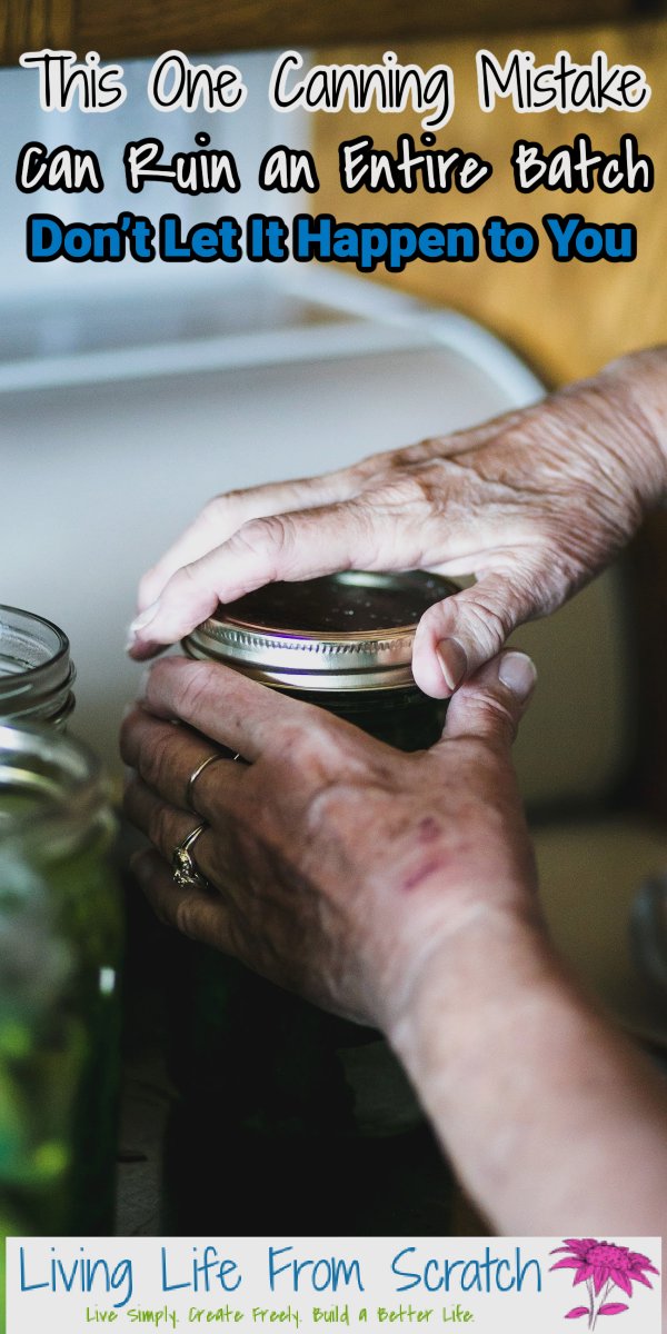Dian_Farmer_'s tweet image. This One Canning Mistake Can Ruin an Entire Batch—Don’t Let It Happen to You

groceryshopforfreeatthemart.com/canning-mistak…
#debtfreegoals #moneysaver #financialgoals #moneysavingtips #saving