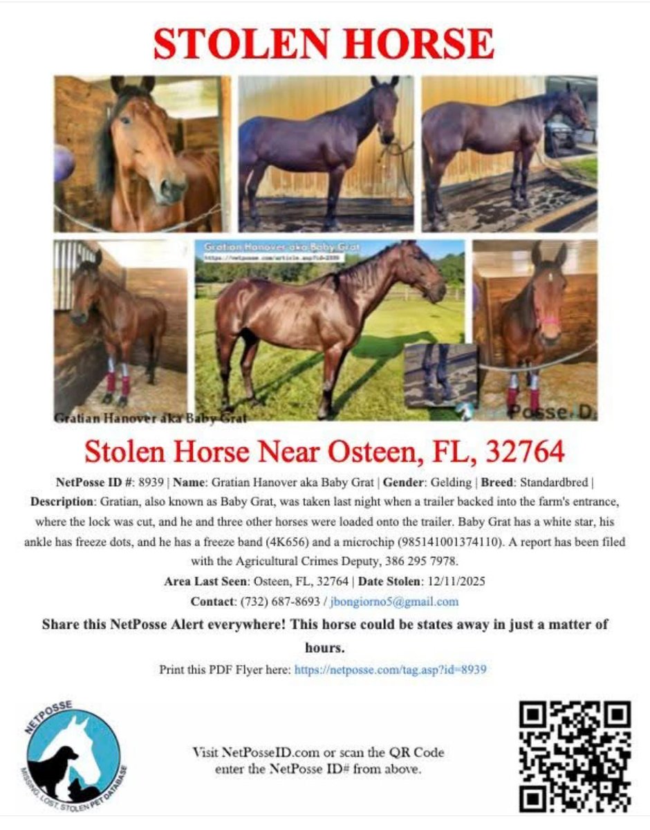 This is absolutely horrible. Four horses were stolen off a Florida farm last night, including Gratian Hanover, a retired standardbred who won 37 races and nearly $700,000 in earnings.

Sharing to help spread the word <a href="/BongiornoRacing/">Joe Bongiorno</a> <a href="/JennBongiorno/">Jenn Bongiorno</a>