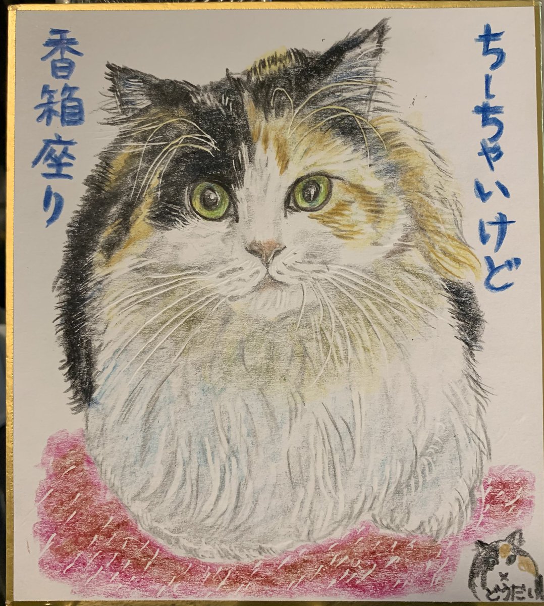 ♥らびこ♥🐰✨RD✨🍓 (@RabbitflowerD) / Posts / X