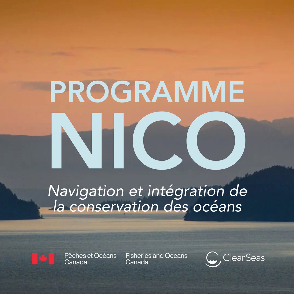 Clear Seas tweet media