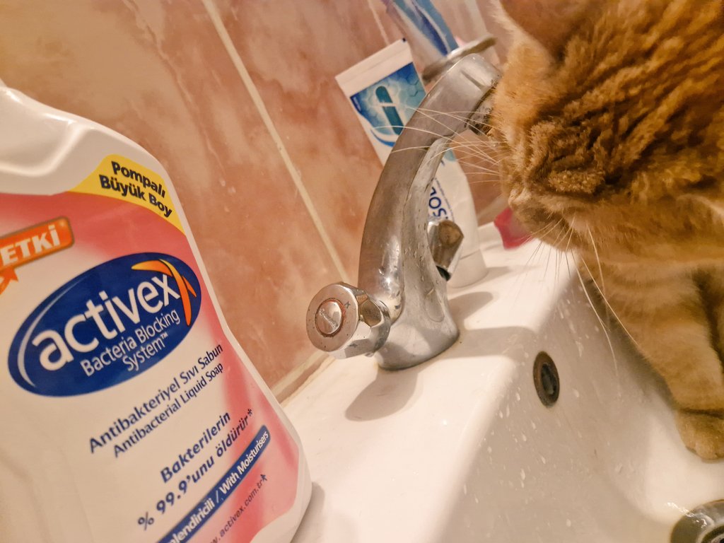 Evime gelen davetsiz misafirin aptallığı xksdkd