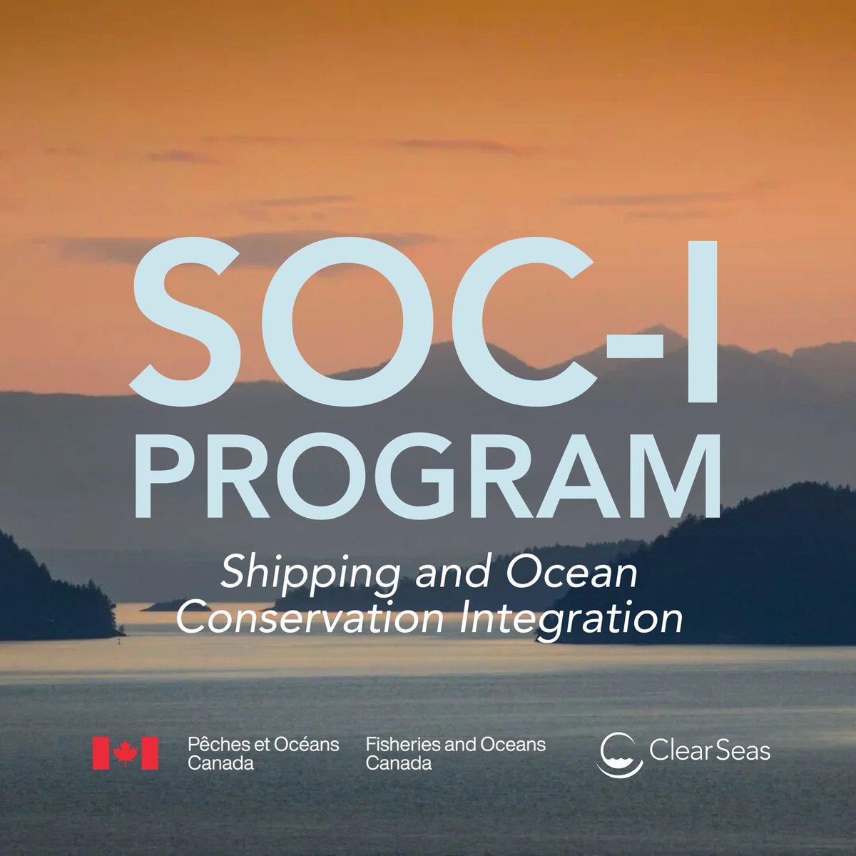 Clear Seas tweet media