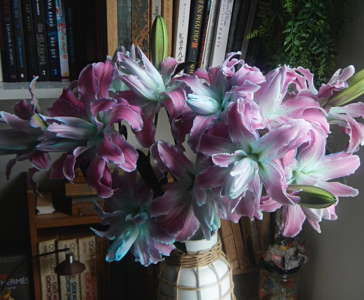 ناي (@itzuwr) on Twitter photo 