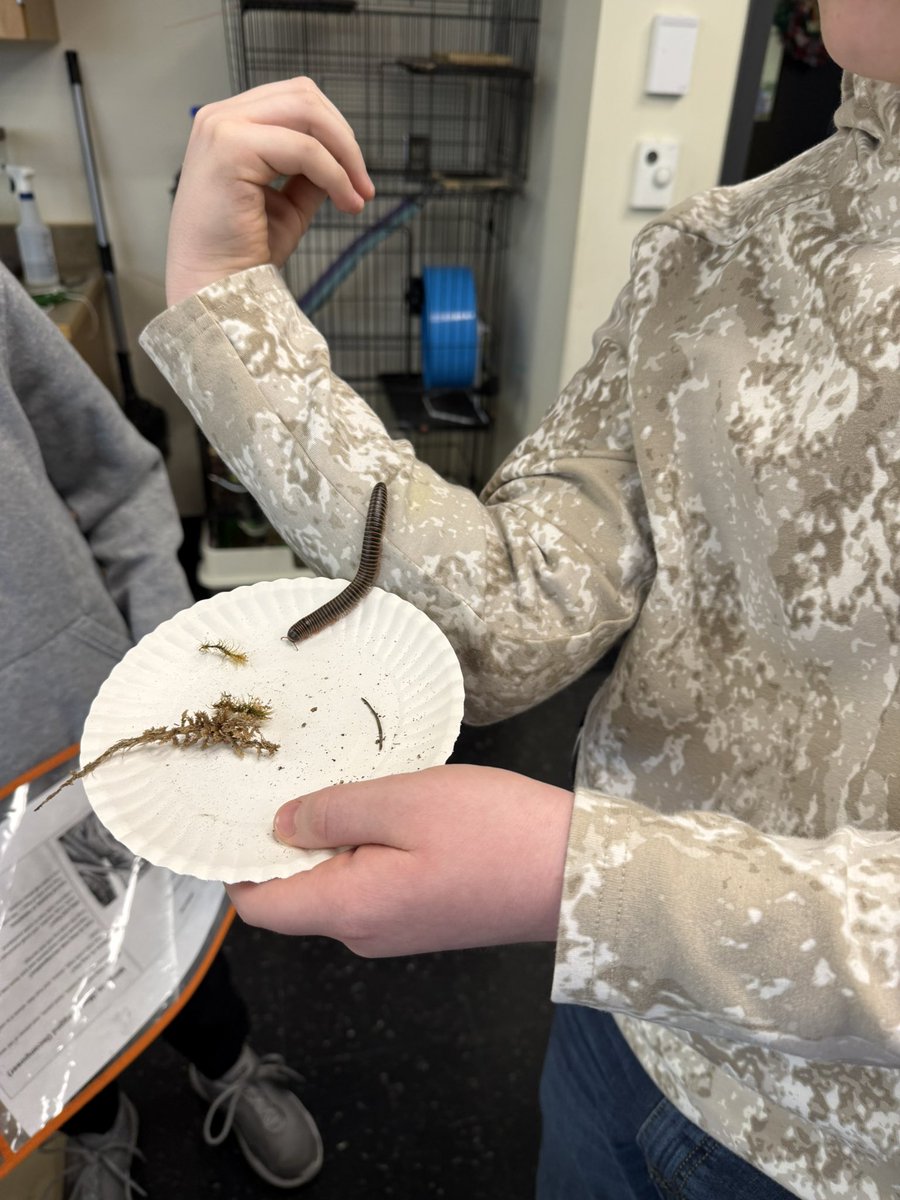 Joshua Weaver tweet media