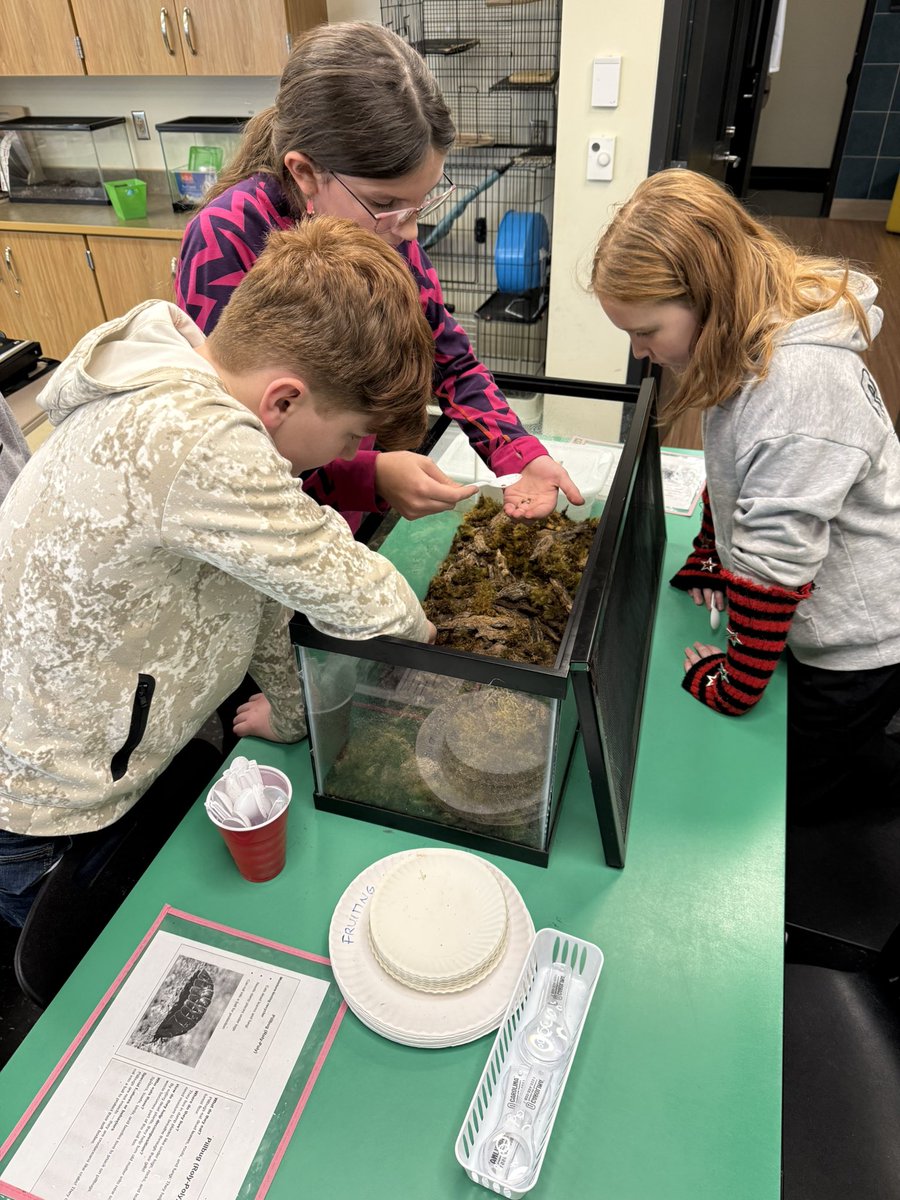 Joshua Weaver tweet media