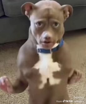 funmilebaje tweet media