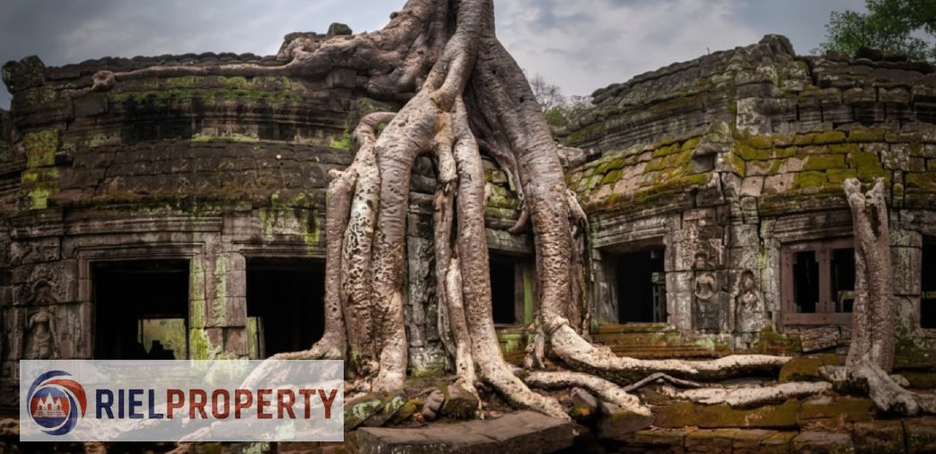 RielProperty tweet picture
