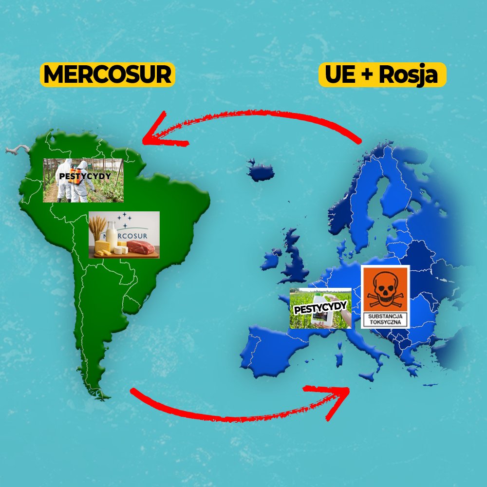 Ewa Zajączkowska-Hernik tweet media