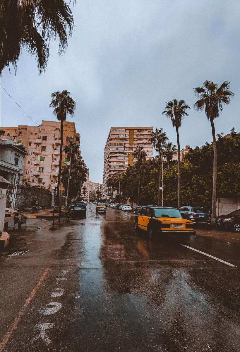 اسكندرية، ديسمبر ٢٠٢٣