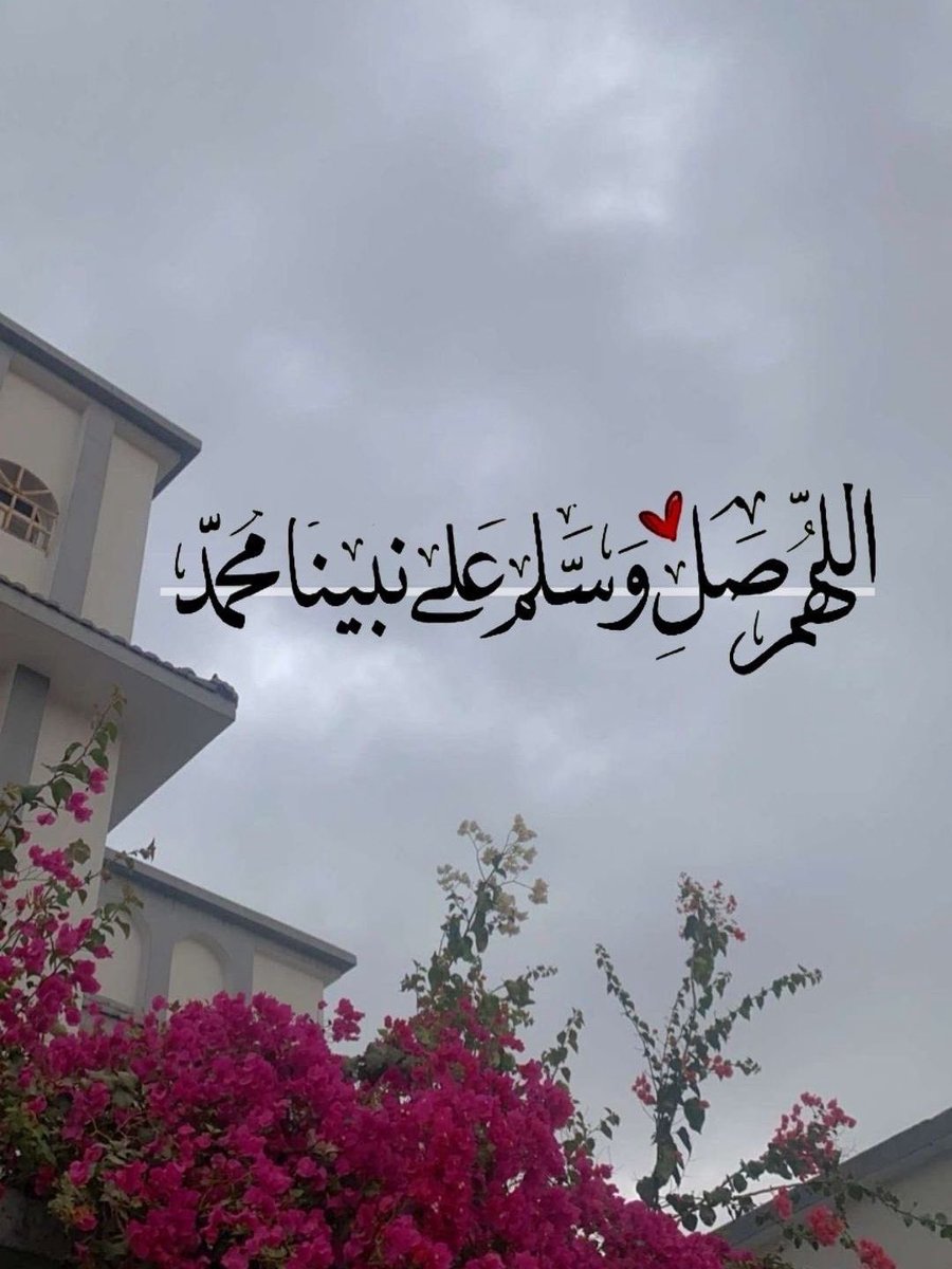 Doaa Ibrahim | دعاء tweet media