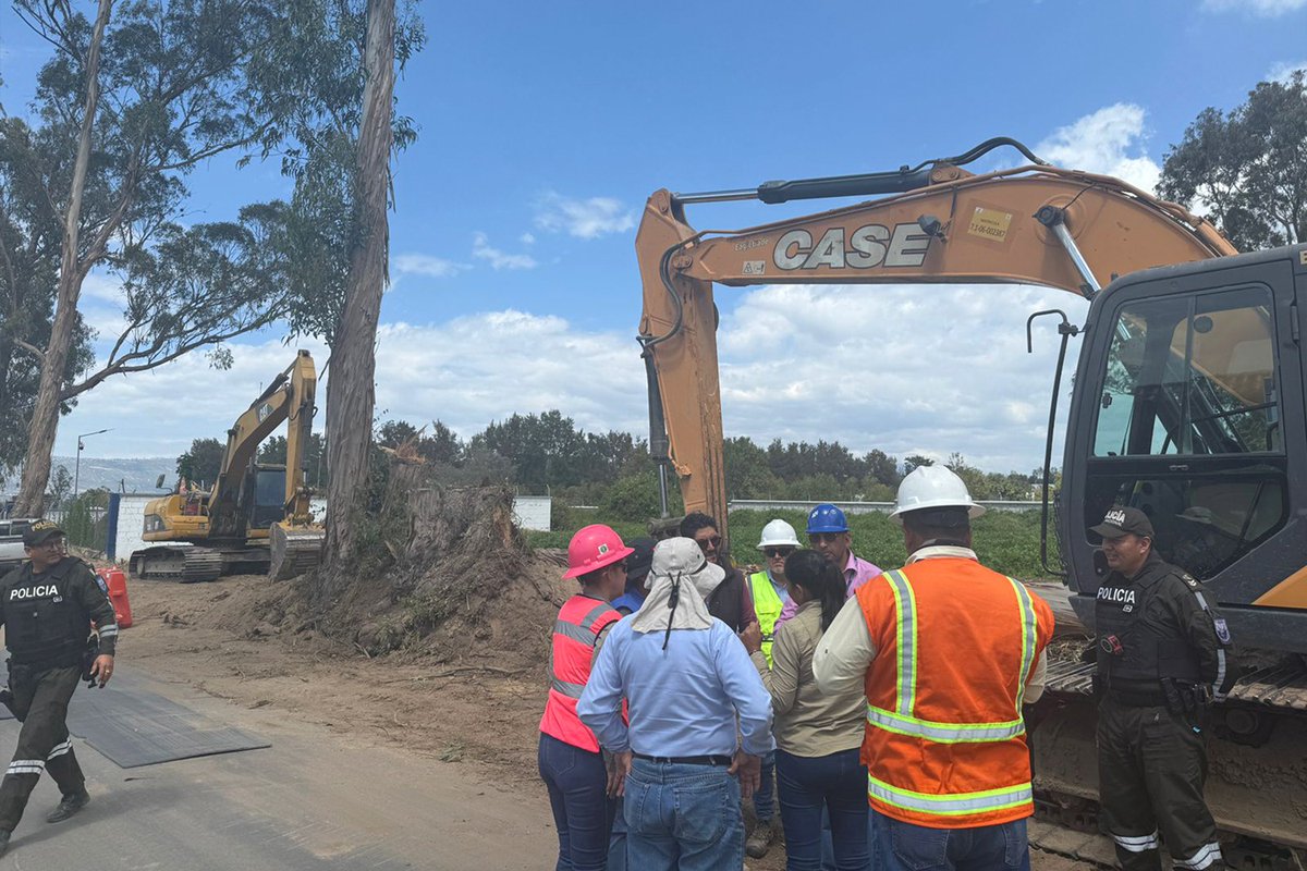 📢#Comunicado| Informamos a la ciudadanía que, tras una inspección interinstitucional en Puembo, por una denuncia de tala, se dispuso restaurar la cobertura vegetal del área intervenida con especies nativas, garantizando la recuperación del ecosistema local.

#QuitoRenace