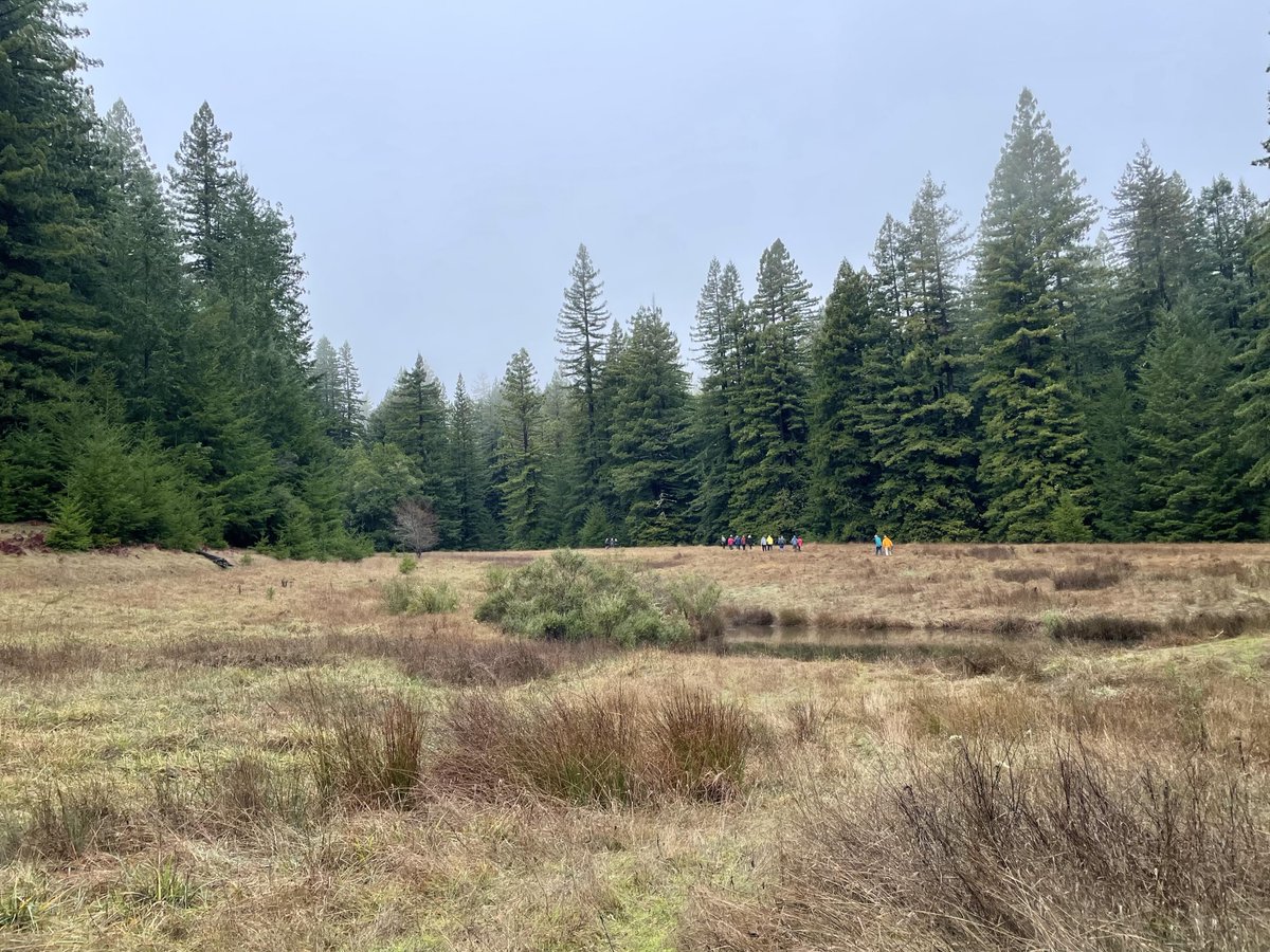 State Coastal Conservancy tweet media