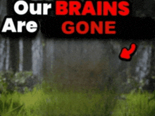 roblox fans are fucking sheep omg