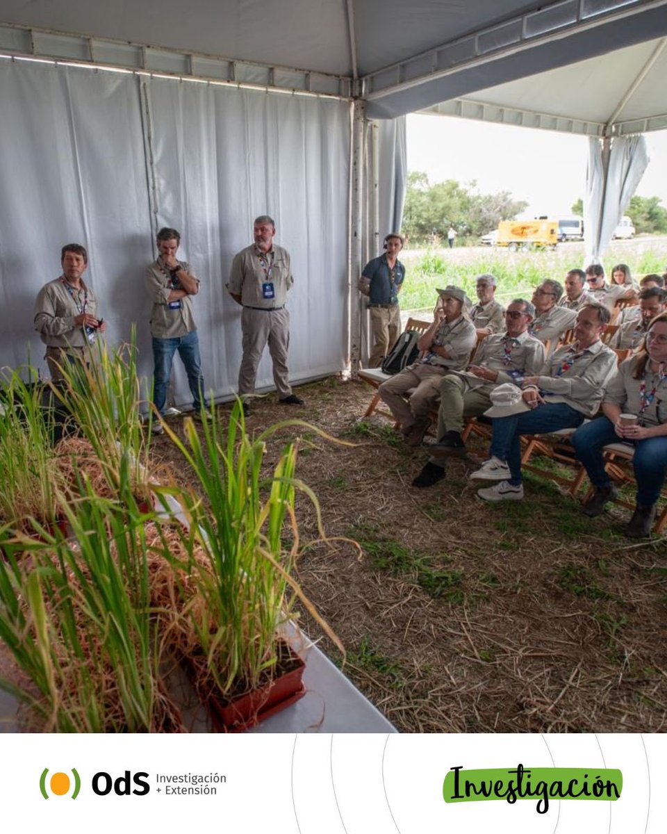 Ojos del Salado tweet media