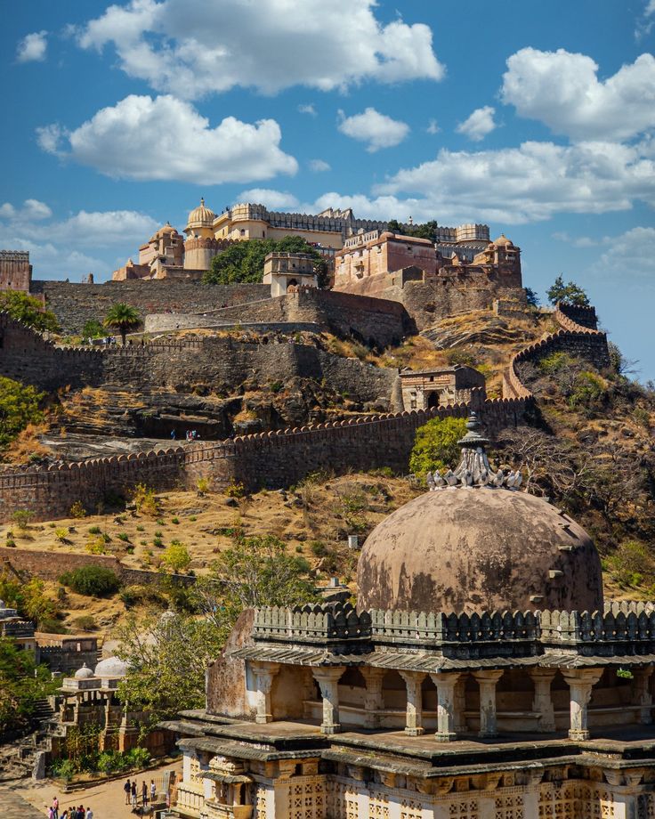 Aryann47 tweet media