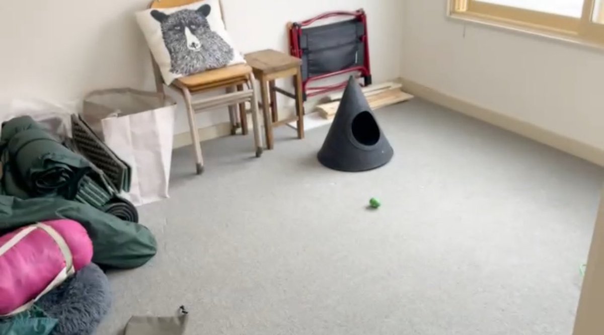 moji mojico (@moji_mojico) / Posts / X