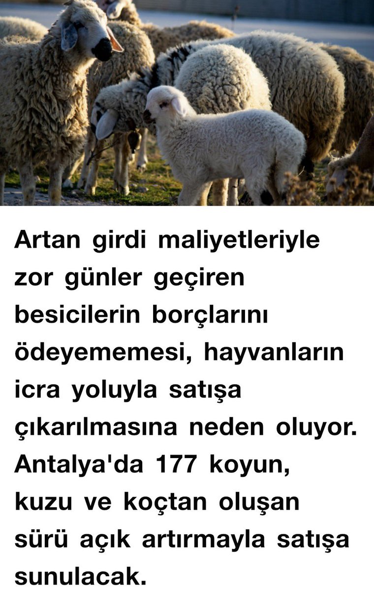 Sonunda bu da oldu…