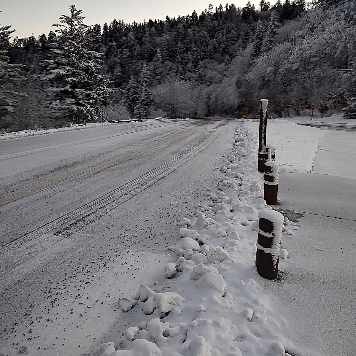 GreatSmokyNPS tweet media