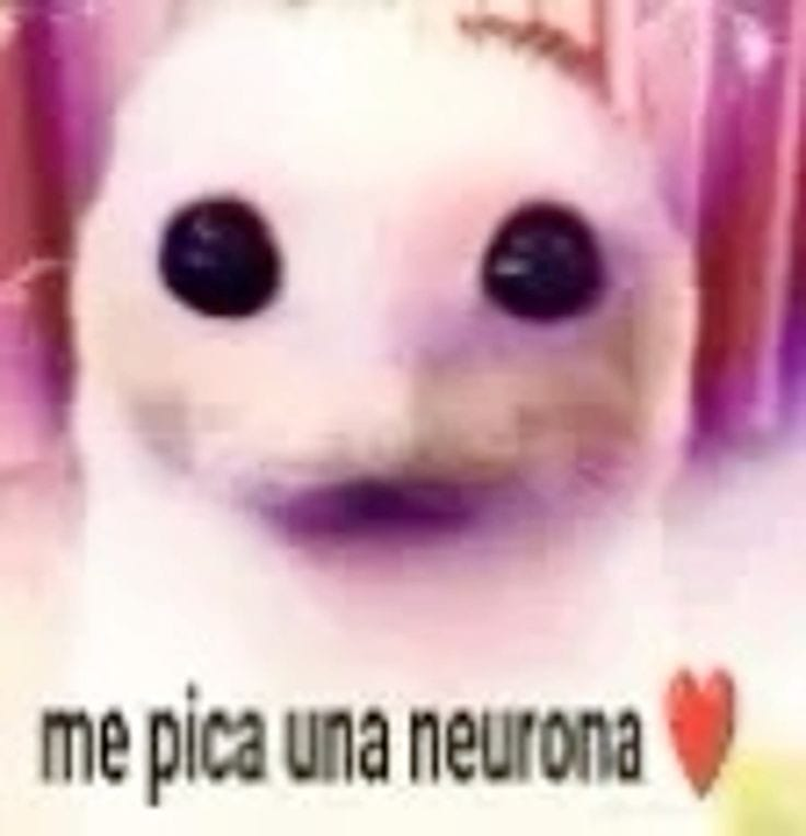 RuBYTrea_VT | Astrylis🎇 (@ruby_trea) on Twitter photo 