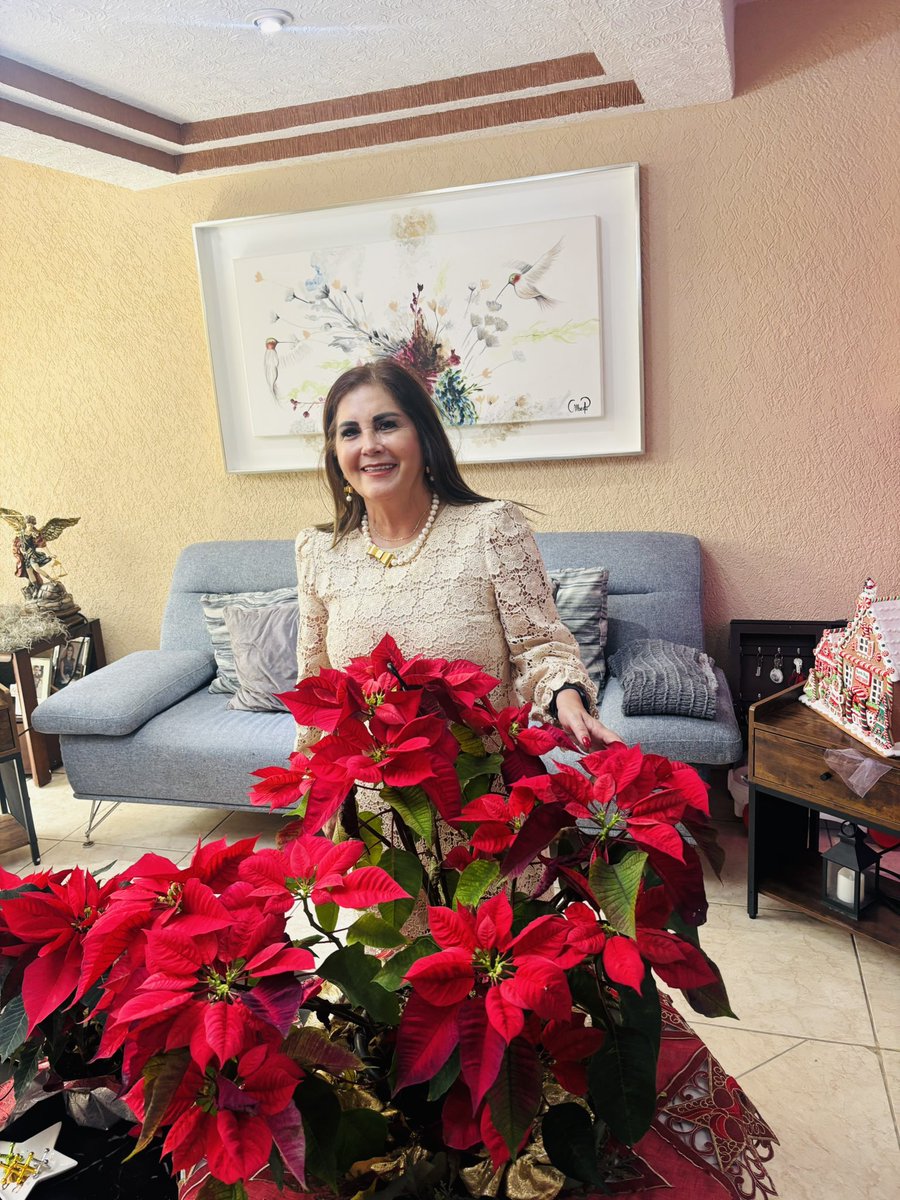 La Navidad no exige alegría, exige verdad, cuidado y permiso para sentir !!