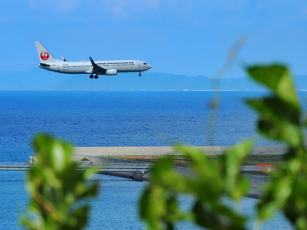 JTA B737-800 JA11RK 沖縄県×JTA kwjfa Amazon.co.jp: JTA B737-800 JA11RK 沖縄県×JTA : おもちゃ