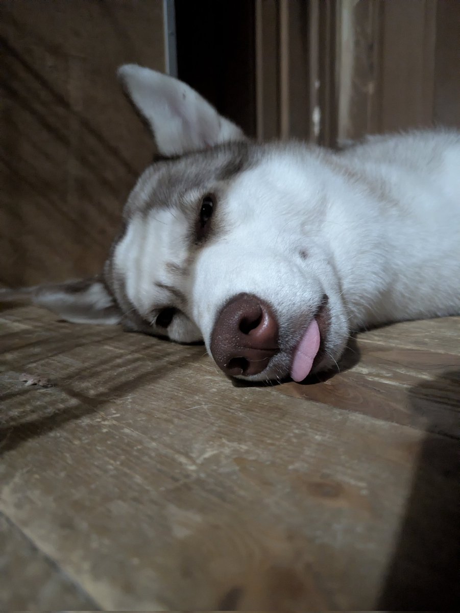 maityobi1's tweet photo. https://t.co/NB9EY25iHe
