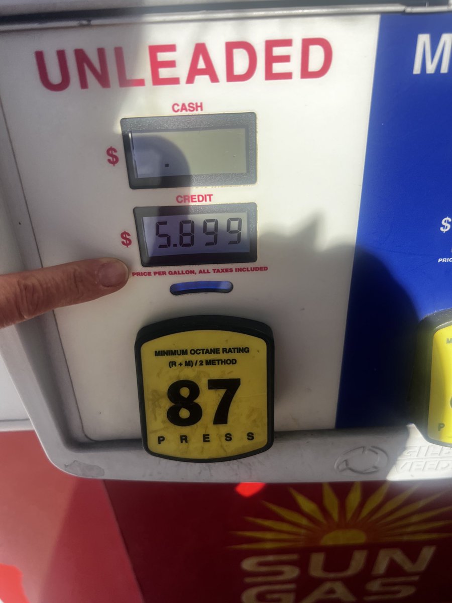 Vanessa Murdock tweet media