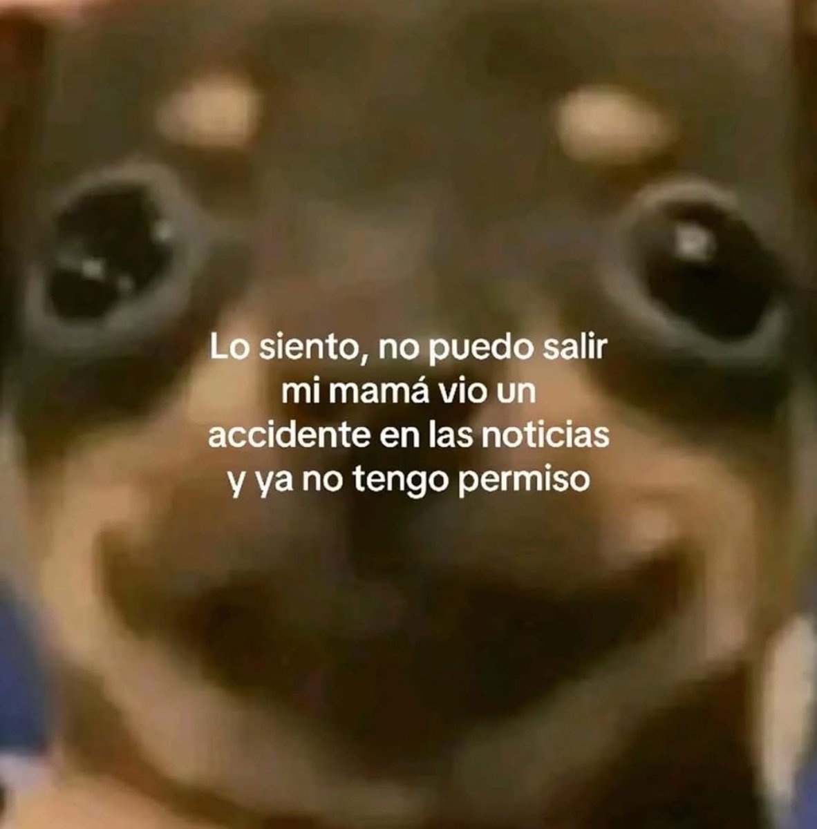 el jeringas (@eljeringasloko) on Twitter photo 