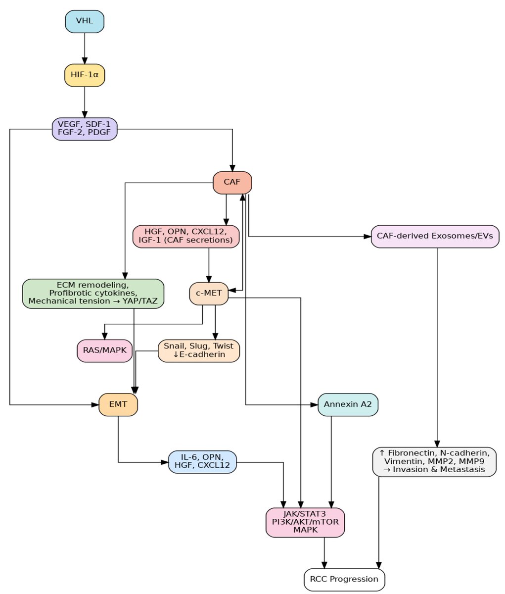 🧐🆕 Check out the latest published paper in #JMPMDPI! 

🫁 𝑴𝒑𝒐𝒙 𝑰𝒏𝒔𝒊𝒈𝒉𝒕𝒔: 𝑭𝒓𝒐𝒎 𝑺𝒕𝒓𝒖𝒄𝒕𝒖𝒓𝒆 𝒕𝒐 𝑯𝒖𝒎𝒂𝒏 𝑪𝒆𝒍𝒍 𝑰𝒏𝒕𝒆𝒓𝒂𝒄𝒕𝒊𝒐𝒏

📖 Enjoy reading: mdpi.com/2673-5261/6/4/…

#JoR #OpenAccess #CancerAssociatedFibroblasts #Interaction