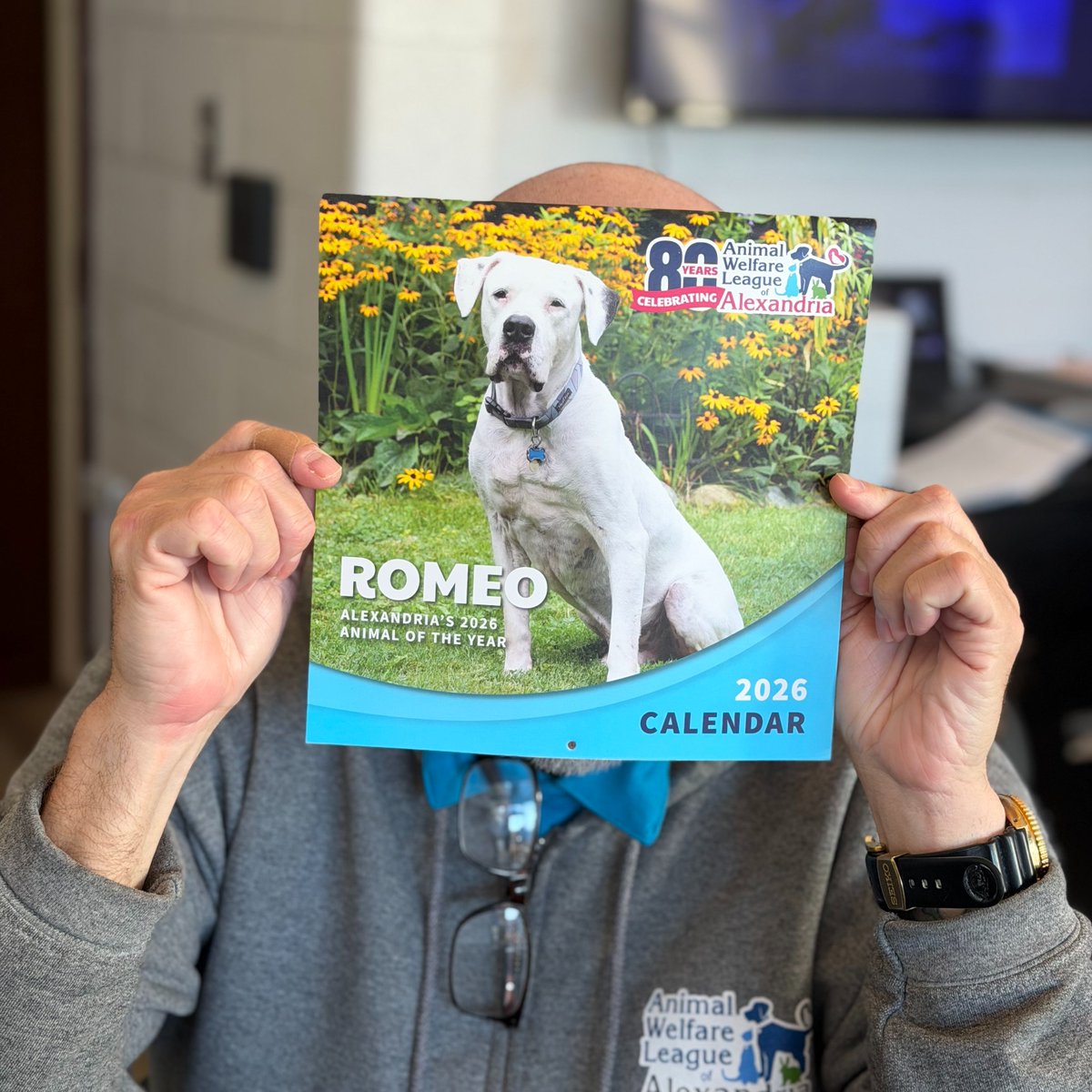 AWLA Alexandria tweet media