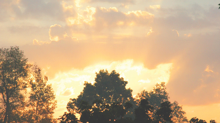 Michigan LCMS tweet media