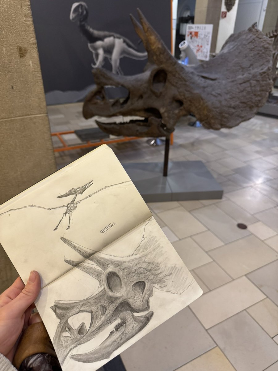 Emil - emil.art tweet media