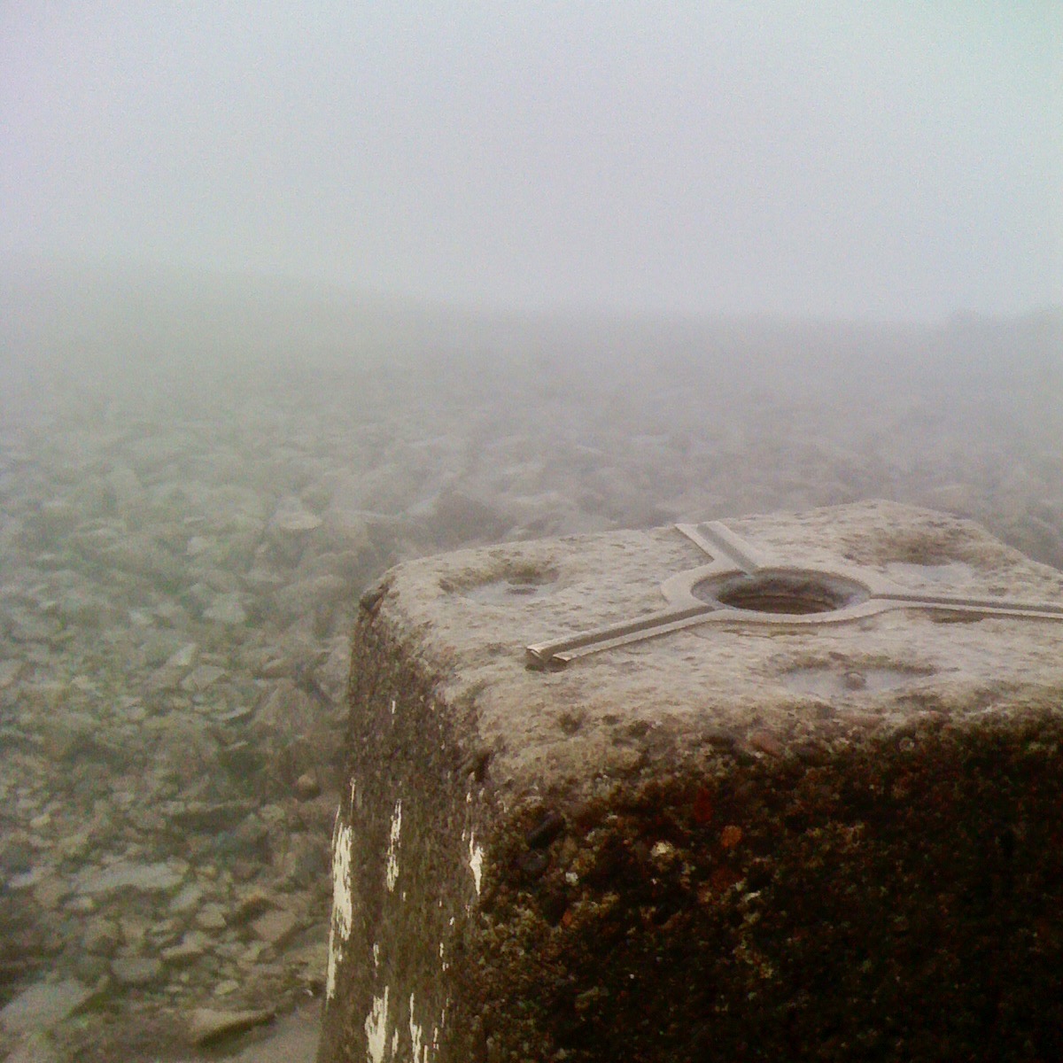 Sort Of Interesting tweet media