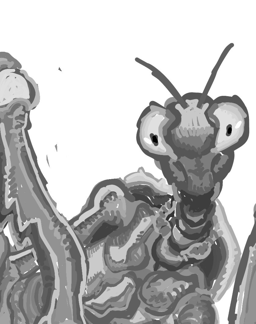 The_gray_fox00's tweet photo. Wip https://t.co/u1brVsFBgv