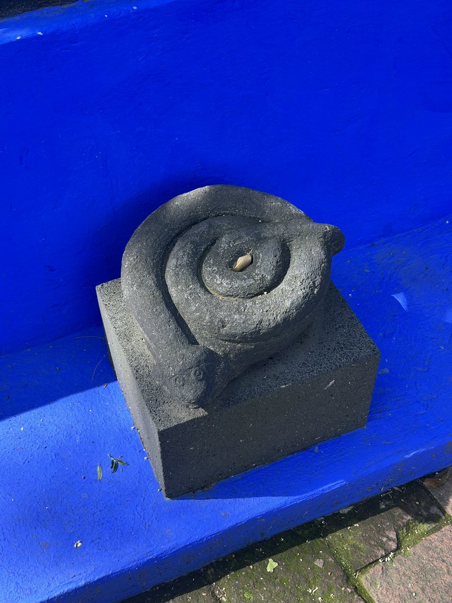 kate buss tweet media