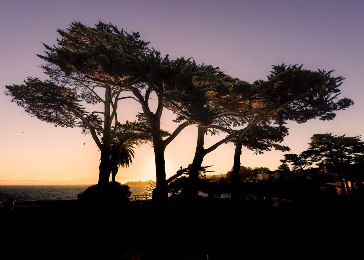 ryanlips's tweet image. Just got back from a fantastic trip to Carmel, California for the Center for Photographic Arts' internationally juried show of which I was fortunate enough to be a part of with one of my photographs.
Oh, and by the way, the Monterey Peninsula is absurdly picturesque.