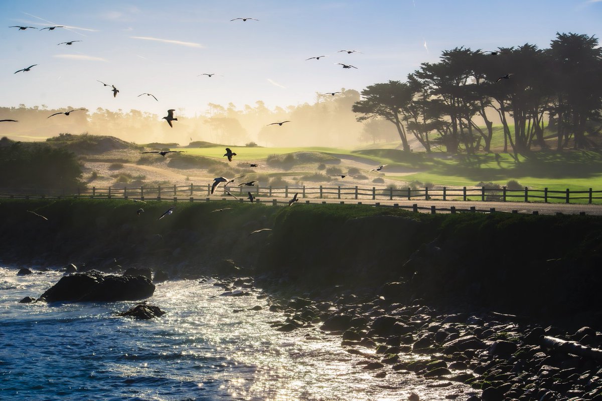 ryanlips's tweet image. Just got back from a fantastic trip to Carmel, California for the Center for Photographic Arts' internationally juried show of which I was fortunate enough to be a part of with one of my photographs.
Oh, and by the way, the Monterey Peninsula is absurdly picturesque.