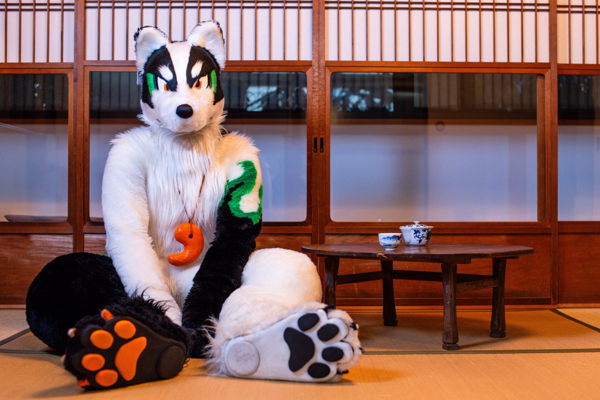 「休息も大事だぞ〜✨」

📸:<a href="/wolfroof/">うぇあ/ware</a> 

#FursuitFriday