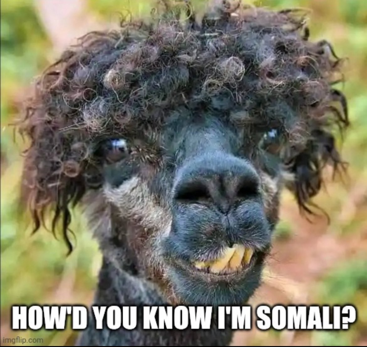 brettsmith62's tweet image. Deport this Somalian terrorist!