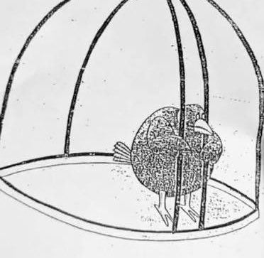 eghostiex's tweet image. feeling depressed while also feeling surrounded by so much love makes me feel like this stupid fucking bird