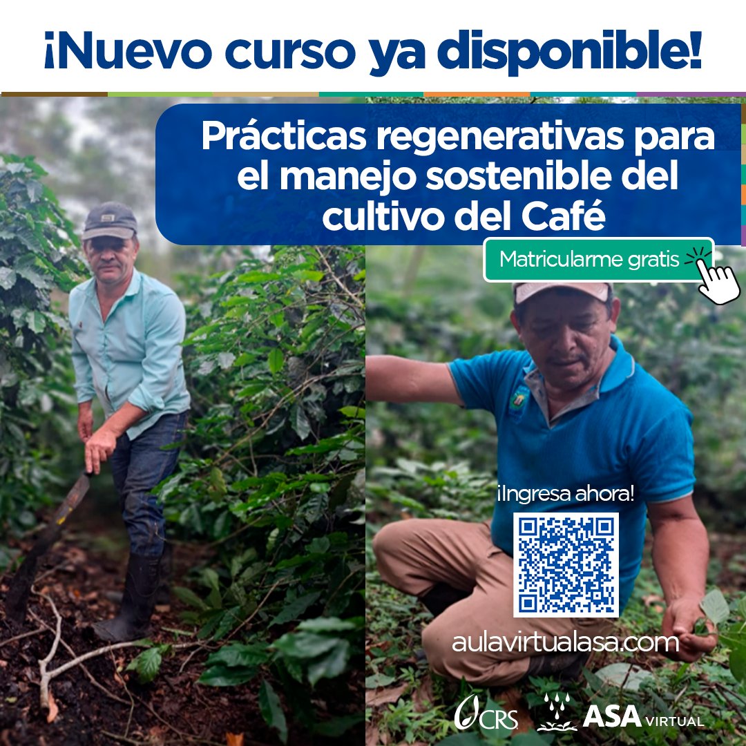 🌱👨‍🌾 Si el suelo vive, el café florece. Inscríbete a nuestro curso gratuito de prácticas regenerativas y descubre cómo mejorar tu finca y tu producción. Disponible 24/7 en la Aula Virtual ASA. ¡Compartí para que más productores se sumen! 💚☕
#AgriculturaRegenerativa