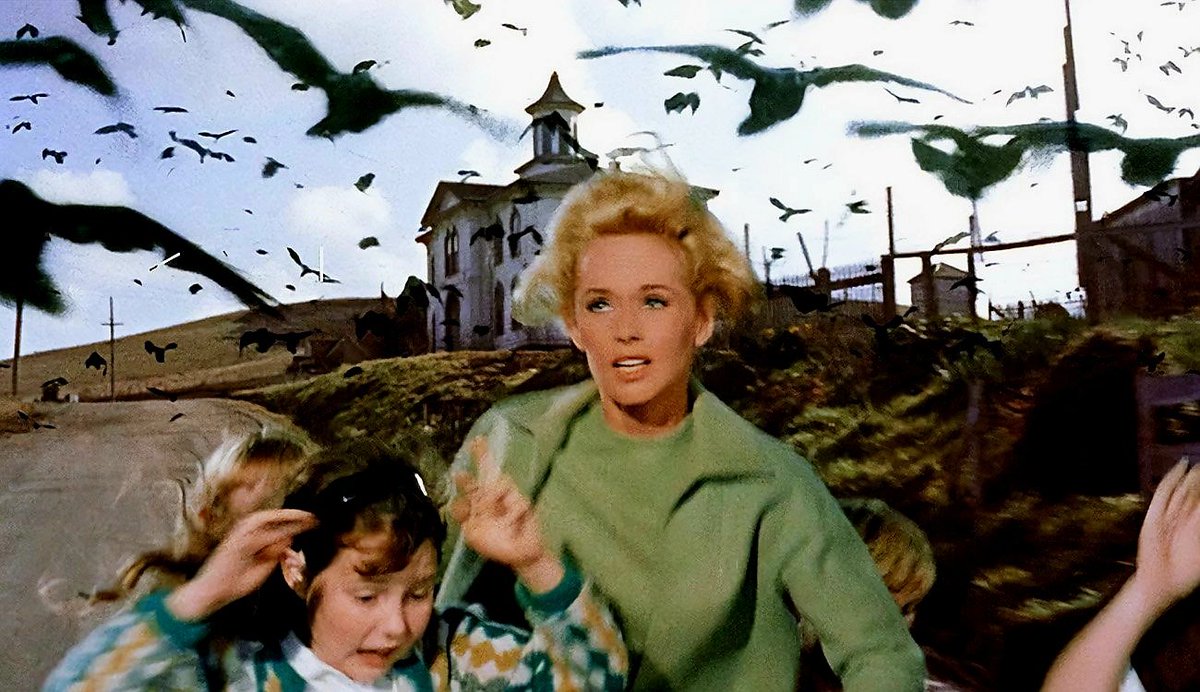 "I told you we should have got a fucking goldfish .."