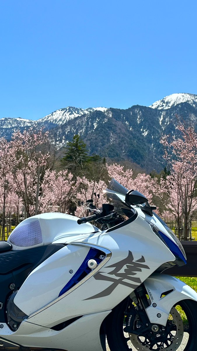 とらちゃん (@torachan675r1) / Posts / X とらちゃん (@torachan675r1) / Posts / X