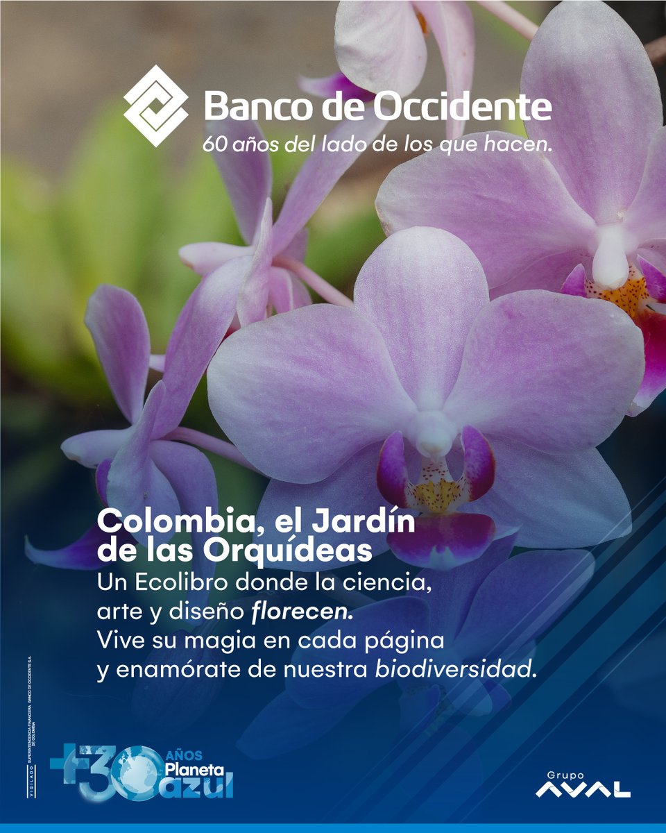 ComunidadPlanetaAzul BdeO tweet media